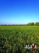 «Фермерское хозяйство АГАВА - Экологический рай», этап второй!